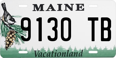 ME license plate 9130TB