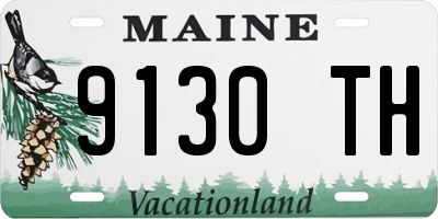ME license plate 9130TH