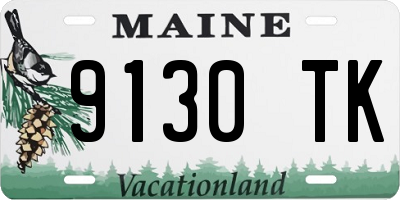 ME license plate 9130TK