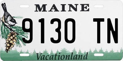 ME license plate 9130TN