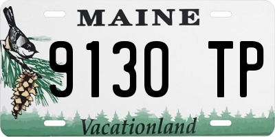 ME license plate 9130TP