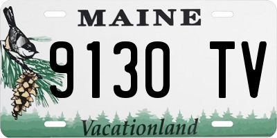 ME license plate 9130TV