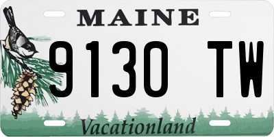 ME license plate 9130TW