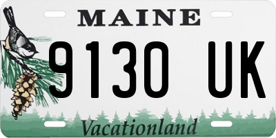 ME license plate 9130UK