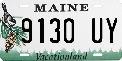 ME license plate 9130UY