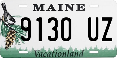 ME license plate 9130UZ