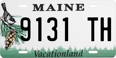 ME license plate 9131TH