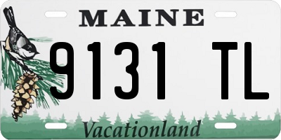 ME license plate 9131TL