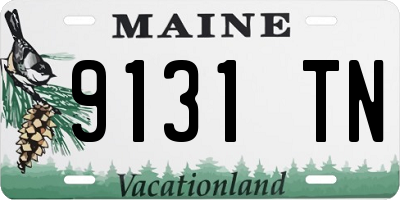 ME license plate 9131TN