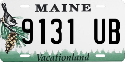 ME license plate 9131UB