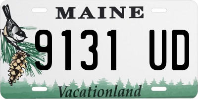 ME license plate 9131UD