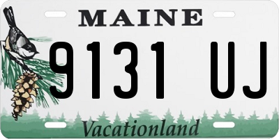 ME license plate 9131UJ