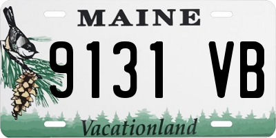 ME license plate 9131VB