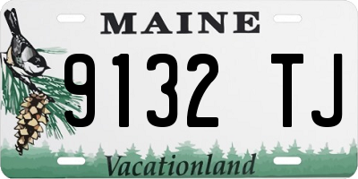 ME license plate 9132TJ