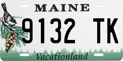 ME license plate 9132TK