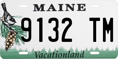 ME license plate 9132TM