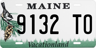 ME license plate 9132TO