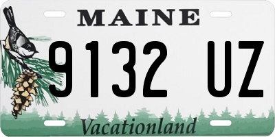 ME license plate 9132UZ