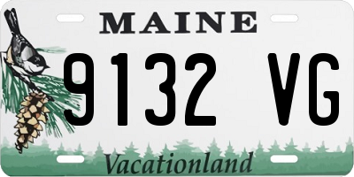 ME license plate 9132VG