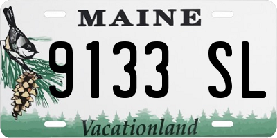 ME license plate 9133SL