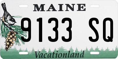 ME license plate 9133SQ
