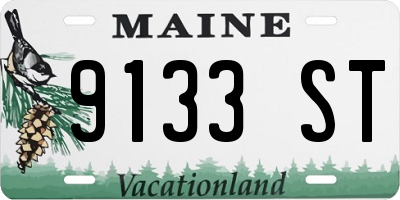 ME license plate 9133ST