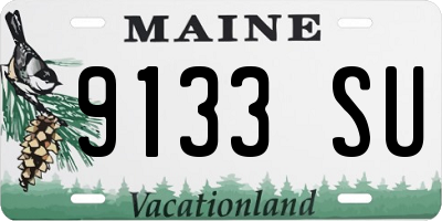 ME license plate 9133SU