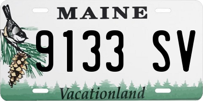 ME license plate 9133SV