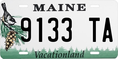 ME license plate 9133TA