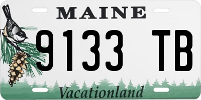 ME license plate 9133TB