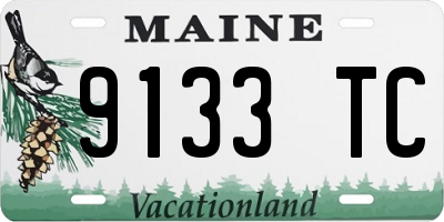 ME license plate 9133TC