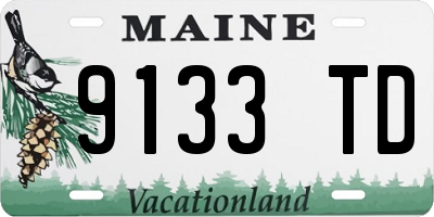ME license plate 9133TD
