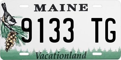 ME license plate 9133TG