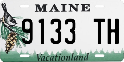 ME license plate 9133TH