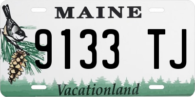 ME license plate 9133TJ
