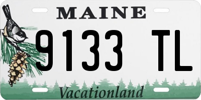 ME license plate 9133TL