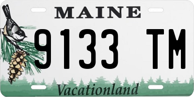 ME license plate 9133TM