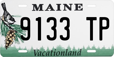 ME license plate 9133TP