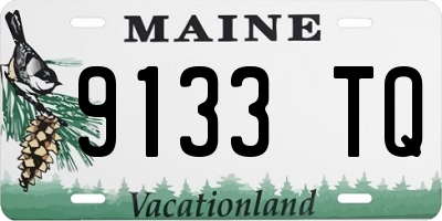 ME license plate 9133TQ