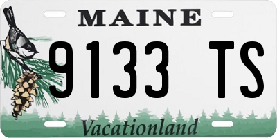 ME license plate 9133TS