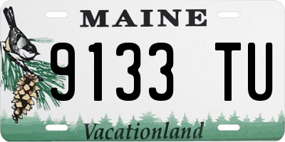 ME license plate 9133TU