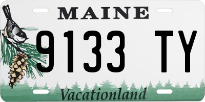 ME license plate 9133TY