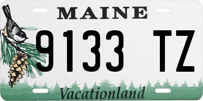 ME license plate 9133TZ