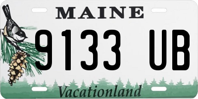 ME license plate 9133UB