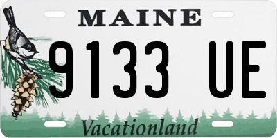 ME license plate 9133UE