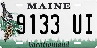 ME license plate 9133UI