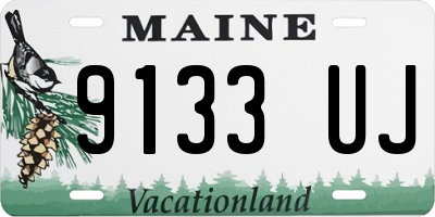 ME license plate 9133UJ