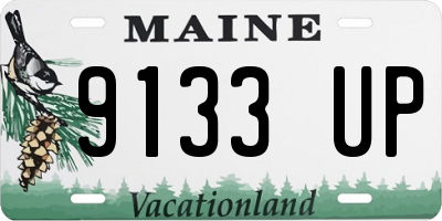 ME license plate 9133UP