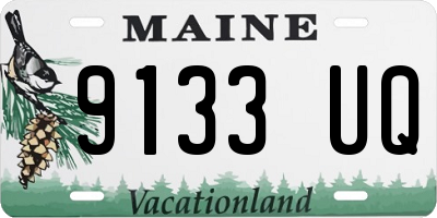 ME license plate 9133UQ