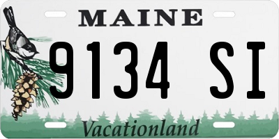 ME license plate 9134SI